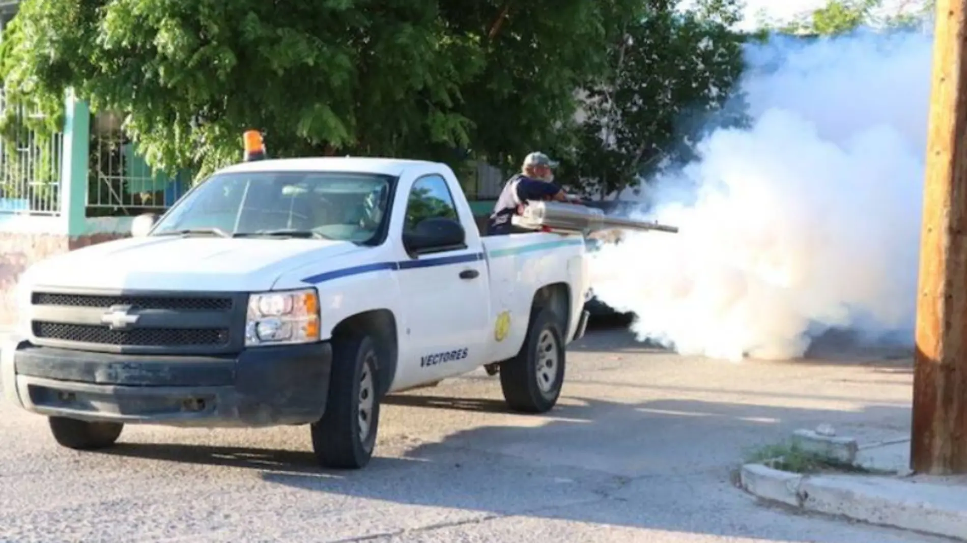 Dará inicio tercer ciclo de fumigación en Los Cabos